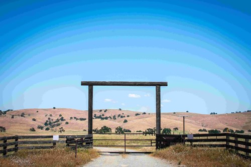 Land, Legacy, and Low Taxes: The Savvy Investor's Guide to North Texas Luxury Ranches